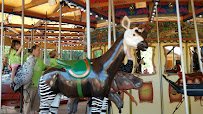 Conservation Carousel at Hogle Zoo photo 2