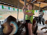 Conservation Carousel at Hogle Zoo photo 5