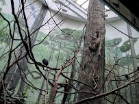 World of Birds photo 2