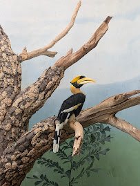 World of Birds photo 3