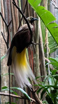 World of Birds photo 5