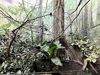 World of Birds photo 6