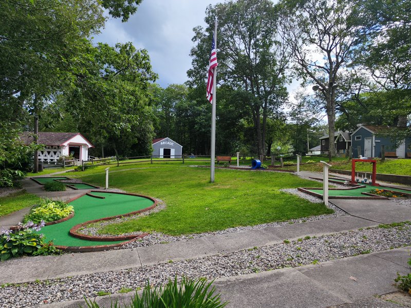 Dolphin Mini Golf photo 3