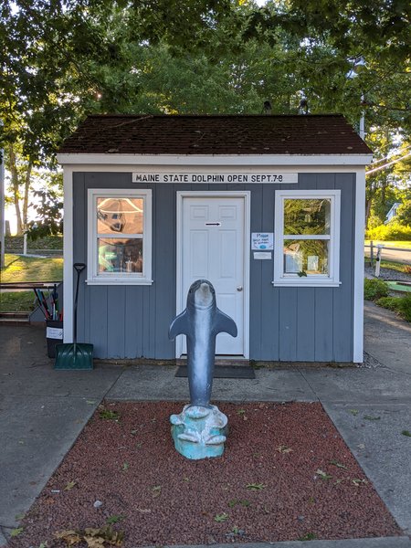 Dolphin Mini Golf photo 6