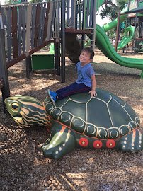 Rogers Park Splash Pad photo 6