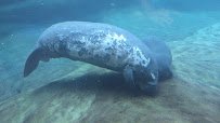 Manatee Coast photo 6