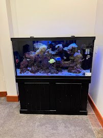 Bridge City Aquarium