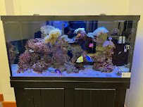 Bridge City Aquarium photo 3