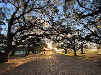 T.Y. (Topeekeegee Yugnee) Park photo 5