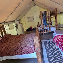 Jellystone Park™ Akron-Canton photo 3