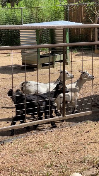 The Learning Zoo photo 2