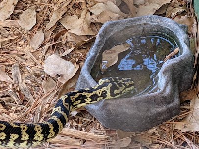 The Learning Zoo photo 6