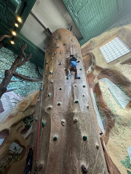 Jungle Jam Xtreme photo 5