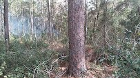 Morningside Nature Center photo 2