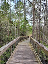 Morningside Nature Center photo 4