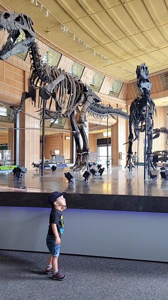 Cincinnati Museum Center photo 2