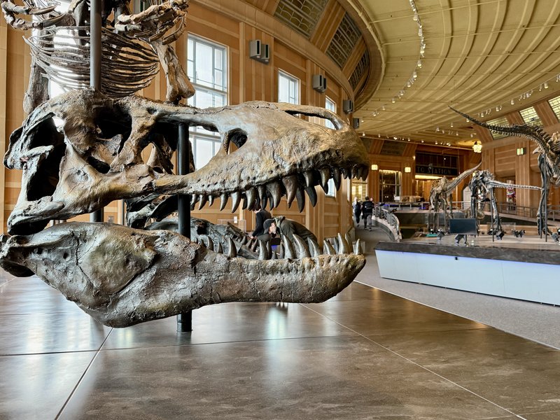 Cincinnati Museum Center photo 4