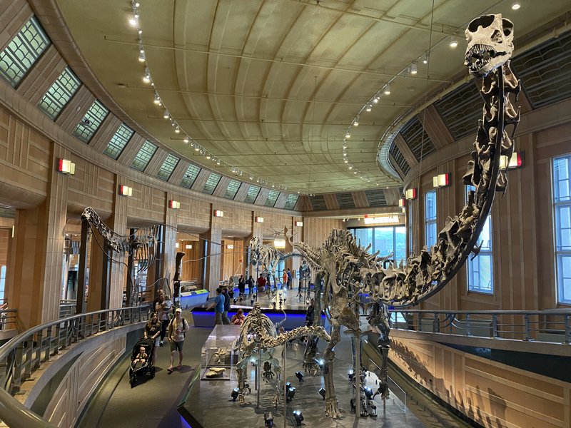 Cincinnati Museum Center photo 5