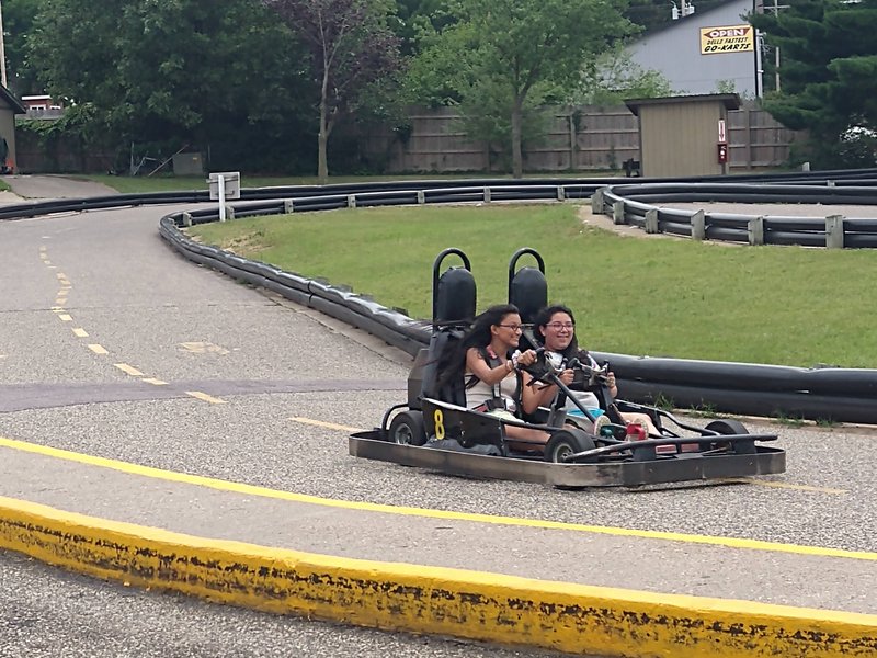 Adare Go Carts photo 4