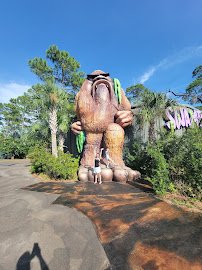 Swampy Jack's Wongo Adventure photo 4