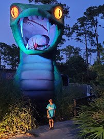 Swampy Jack's Wongo Adventure photo 6