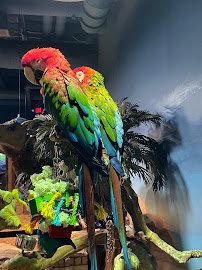 Hill City AquaZoo photo 5