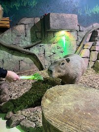 Hill City AquaZoo photo 6