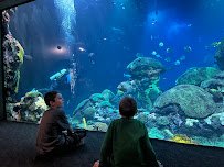 Tennessee Aquarium