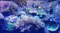 Tennessee Aquarium photo 2