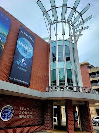 Tennessee Aquarium IMAX 3D Theater photo 3