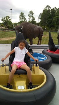 Big Papa’s Mini Golf and Event Center photo 6