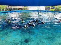 St. Augustine Aquarium