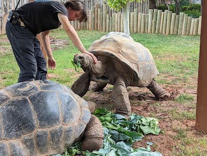 Reptile Gardens photo 6