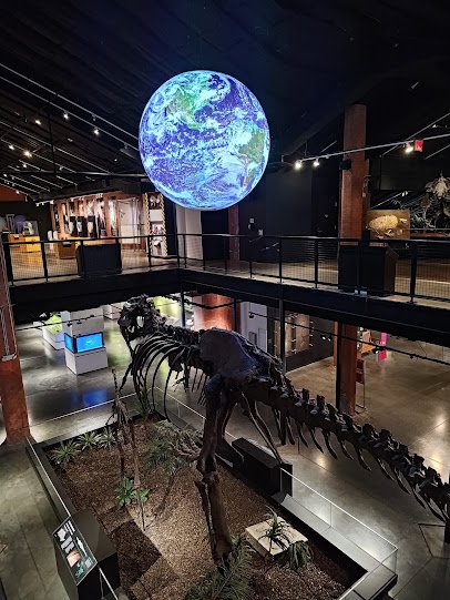 Houston Museum of Natural Science at Sugar Land photo 3