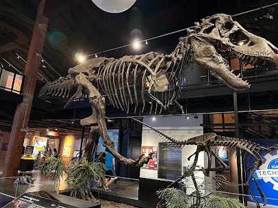 Houston Museum of Natural Science at Sugar Land photo 4