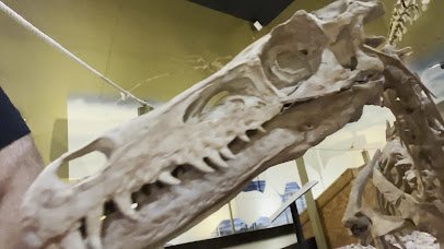 Wyoming Dinosaur Center photo 2
