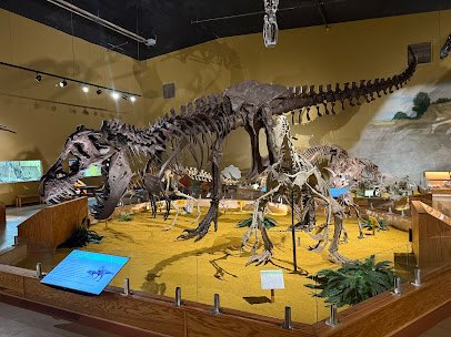 Wyoming Dinosaur Center photo 3