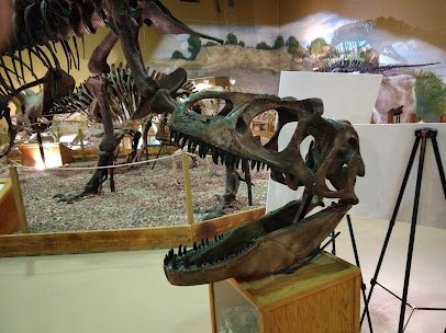 Wyoming Dinosaur Center photo 4
