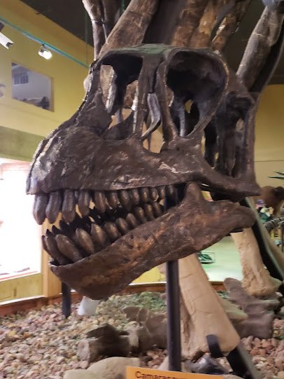Wyoming Dinosaur Center photo 5