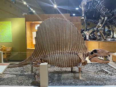 Wyoming Dinosaur Center photo 6