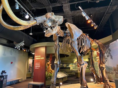 Discovery Park of America photo 4