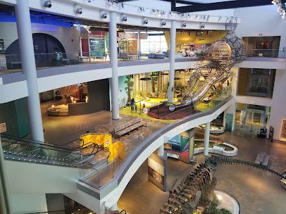 Discovery Park of America photo 5