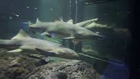 Marine Mammal Pavilion photo 2