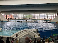 Marine Mammal Pavilion photo 3