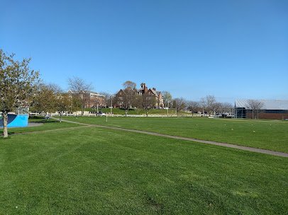 Larsen Rink photo 4