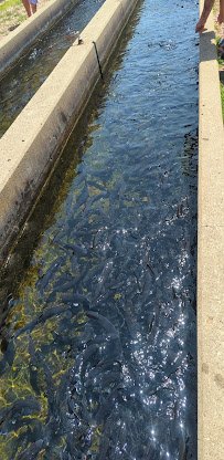 Gavins Point National Fish Hatchery - Hatchery Building And Aquarium photo 2