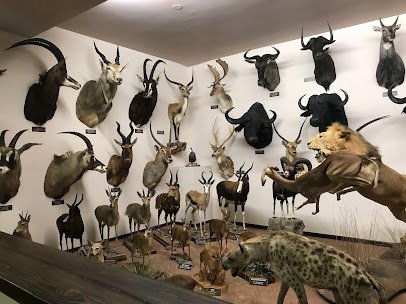 Nelson Museum of the West