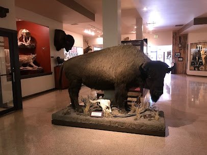 Nelson Museum of the West photo 3