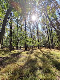 Greenbelt Nature Center photo 5