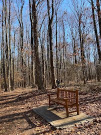 Greenbelt Nature Center photo 6
